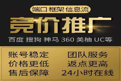 百度竞价赚钱的技巧与成功案例探讨